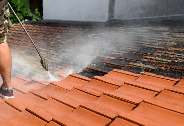 Best Residential Pressure Washing Services  in Fernandina Beach, FL