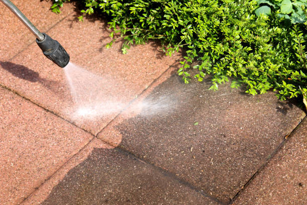 Best Pressure Washing Driveway  in Fernandina Beach, FL